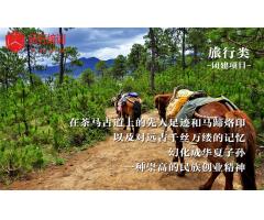 茶马古道文化体验之旅