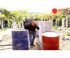 百变过街