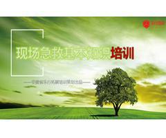 现场急救基本知识培训